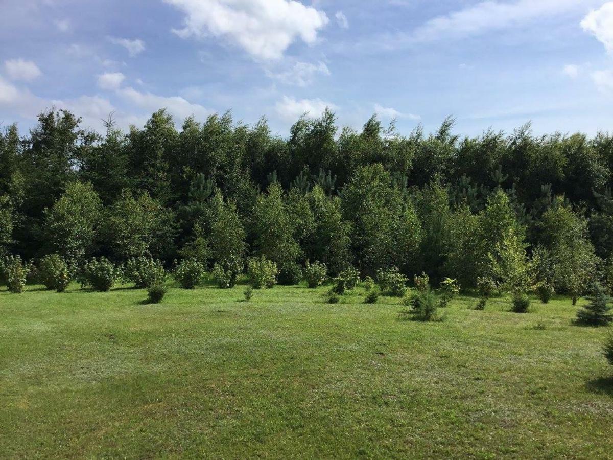 Agroturystyka 'Milena' Ostropole Exteriör bild